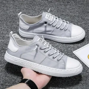 Sarastatic Men Casual Canvas Shoes